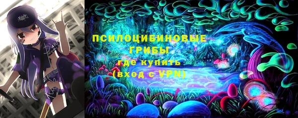 прущие крисы Великий Новгород