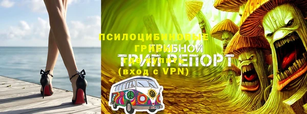 тгк Ахтубинск