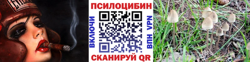 цена   Аша  Псилоцибиновые грибы ЛСД 