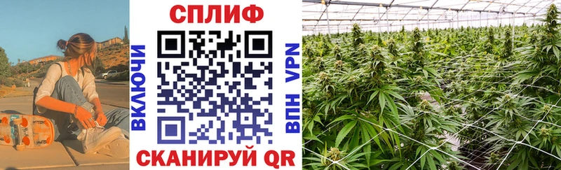 как найти наркотики  Аша  Каннабис Ganja 